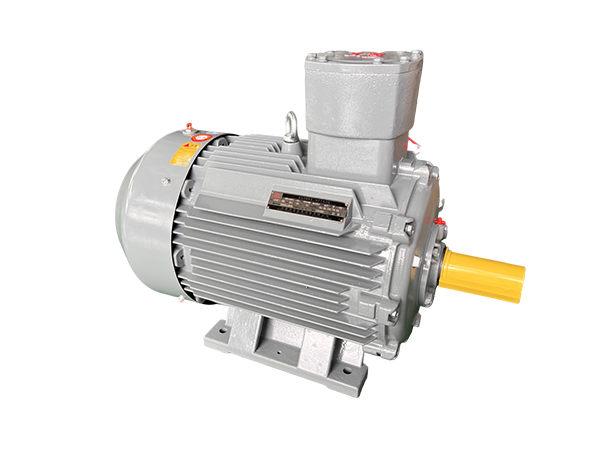 CT4防爆電機 